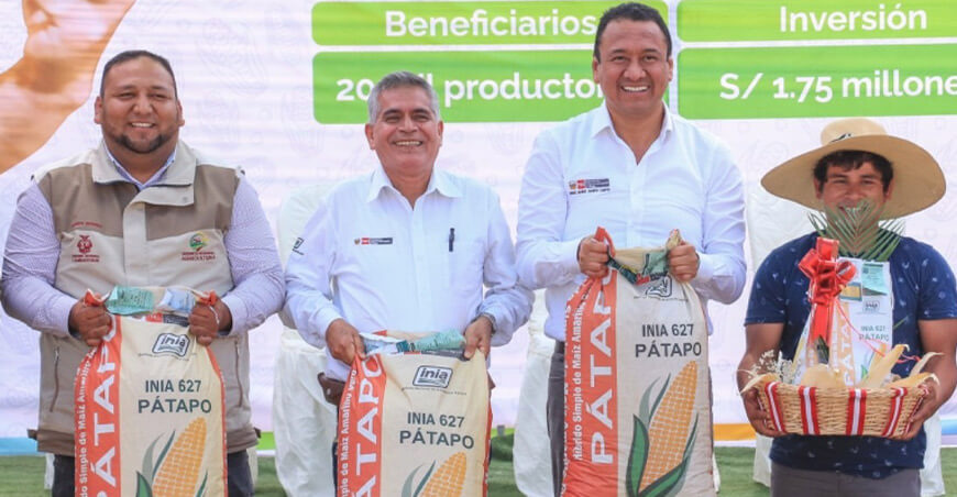 nuevo híbrido de maíz amarillo INIA 627 – Pátapo