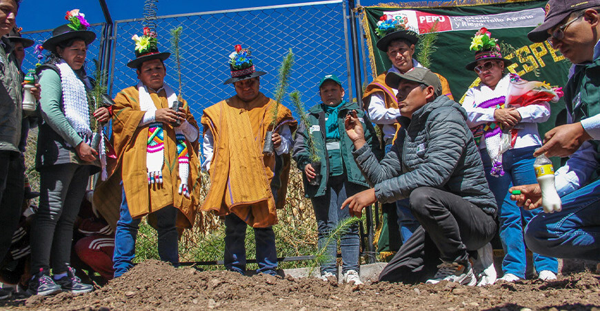 Distrito de Alcamenca celebró inicio del Proyecto Forestal del PESCS Midagri Perú
