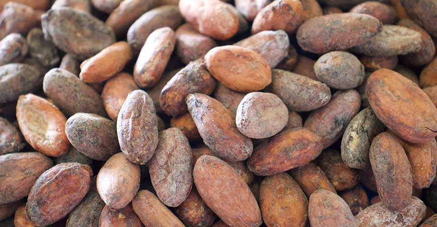 Perú exportación de cacao grano peruano