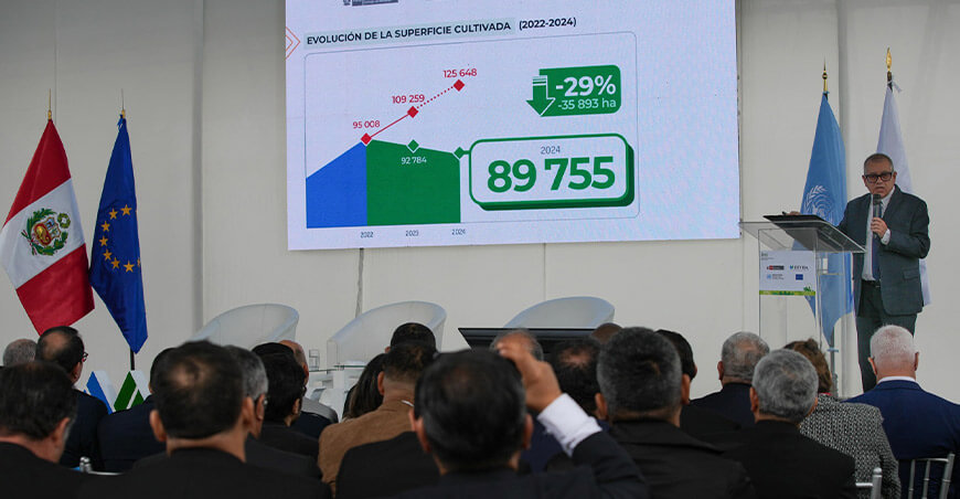 Perú reduce por segundo año consecutivo producción de coca