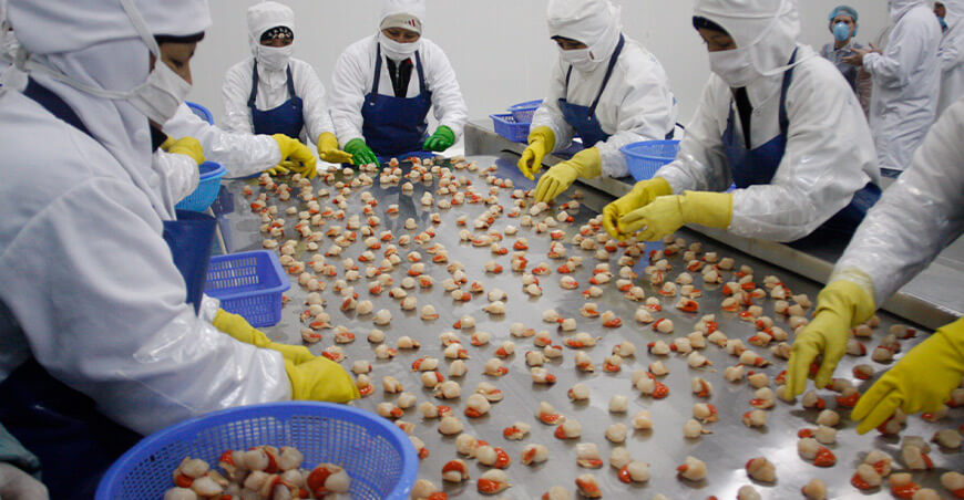 Perú Sanipes exportación conchas