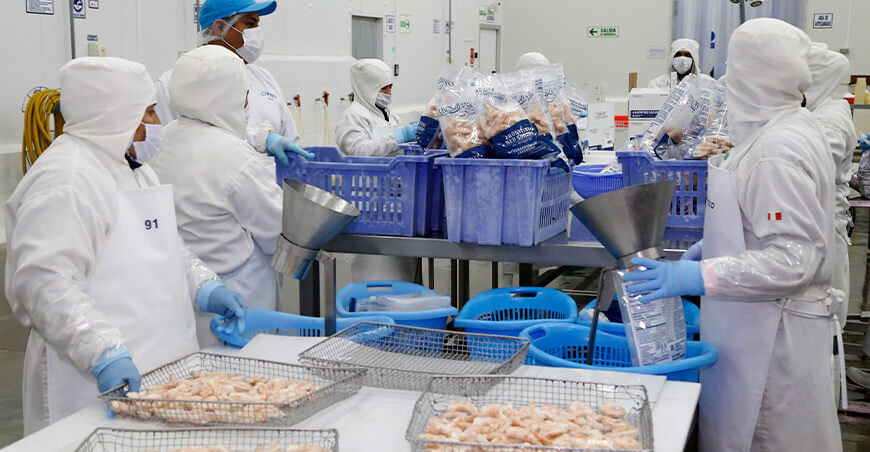 Perú Sanipes exportación langostinos