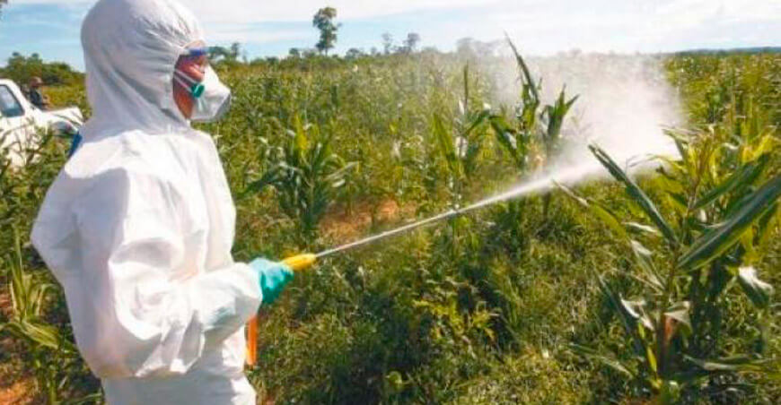 agroquímicos pesticidas