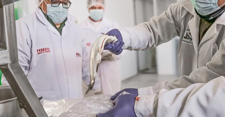 , la planta de procesamiento pesquero artesanal de Yanet Chara Galindo obtuvo Registro Sanitario de Productos Pesqueros ITP Puno