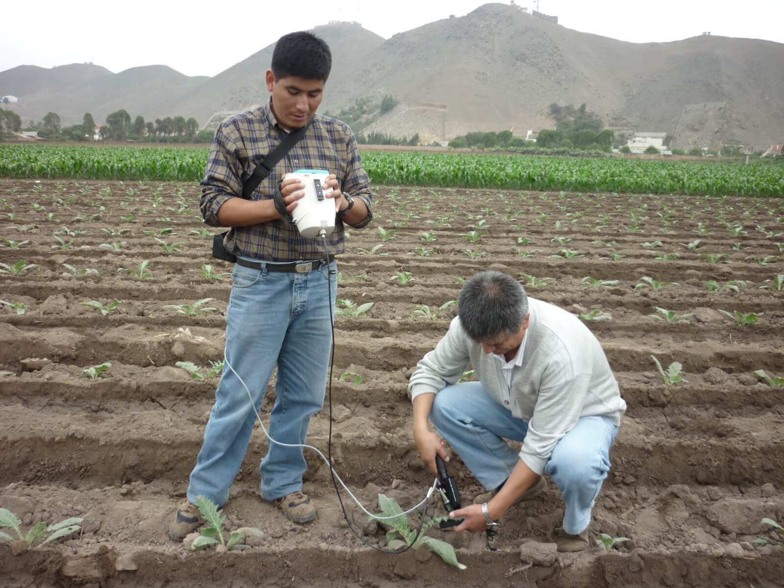 Producción cultivos sostenibles energía circular Produce Perú
