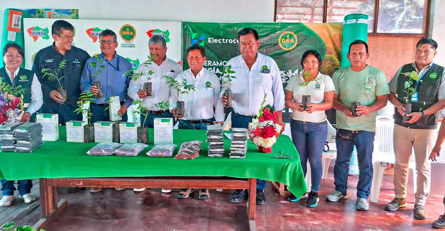 Inician plan de reforestación en Chanchamayo y Satipo Junín Perú