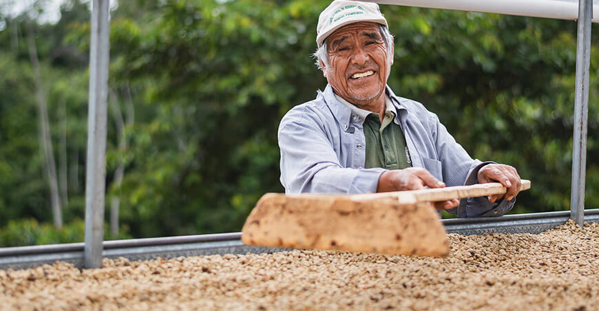La comunidad Paz y Esperanza, del terror a un café libre de deforestación San Martín Perú