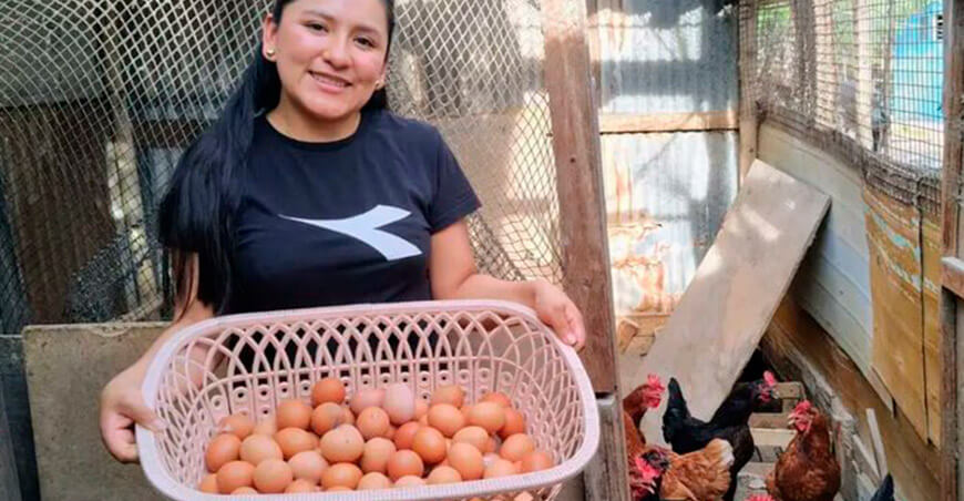 productora de gallinas ponedoras crianza sostenible Perú