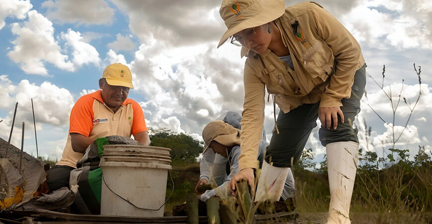 IIAP lidera la restauración de zonas degradadas por minería aurífera en Madre de Dios Perú