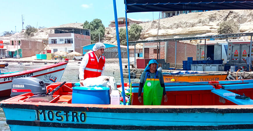 Sanipes lanza plataforma en línea para consultar actas de fiscalización sanitaria