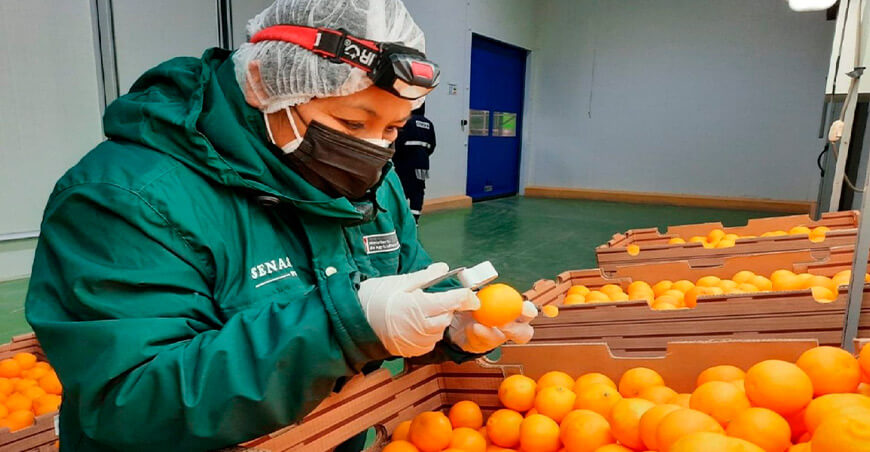 Senasa Perú exportación de mandarinas peruanas