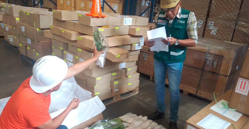 Serfor capacitó al GORE y a titulares de zoocriaderos sobre gestión y control de fauna silvestre