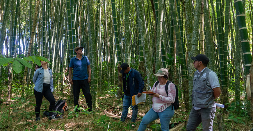 Serfor formalización actividades productores mediante el otorgamiento del Contrato de Cesión en Uso para Sistemas Agroforestales (CCUSAF) Perú