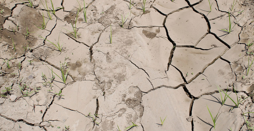 las tierras de cultivo en América del Sur están degradadas