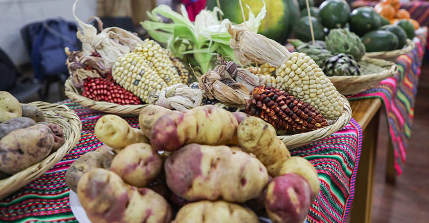 II Feria Agropecuaria, Gastronómica y Turística Mariscal Castilla Junín Perú