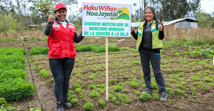 Yachachiq trasmiten conocimientos de tecnología productiva en Haku Wiñay producción hortalizas Perú