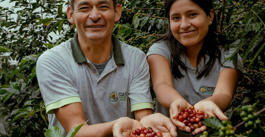 productores de café Perú