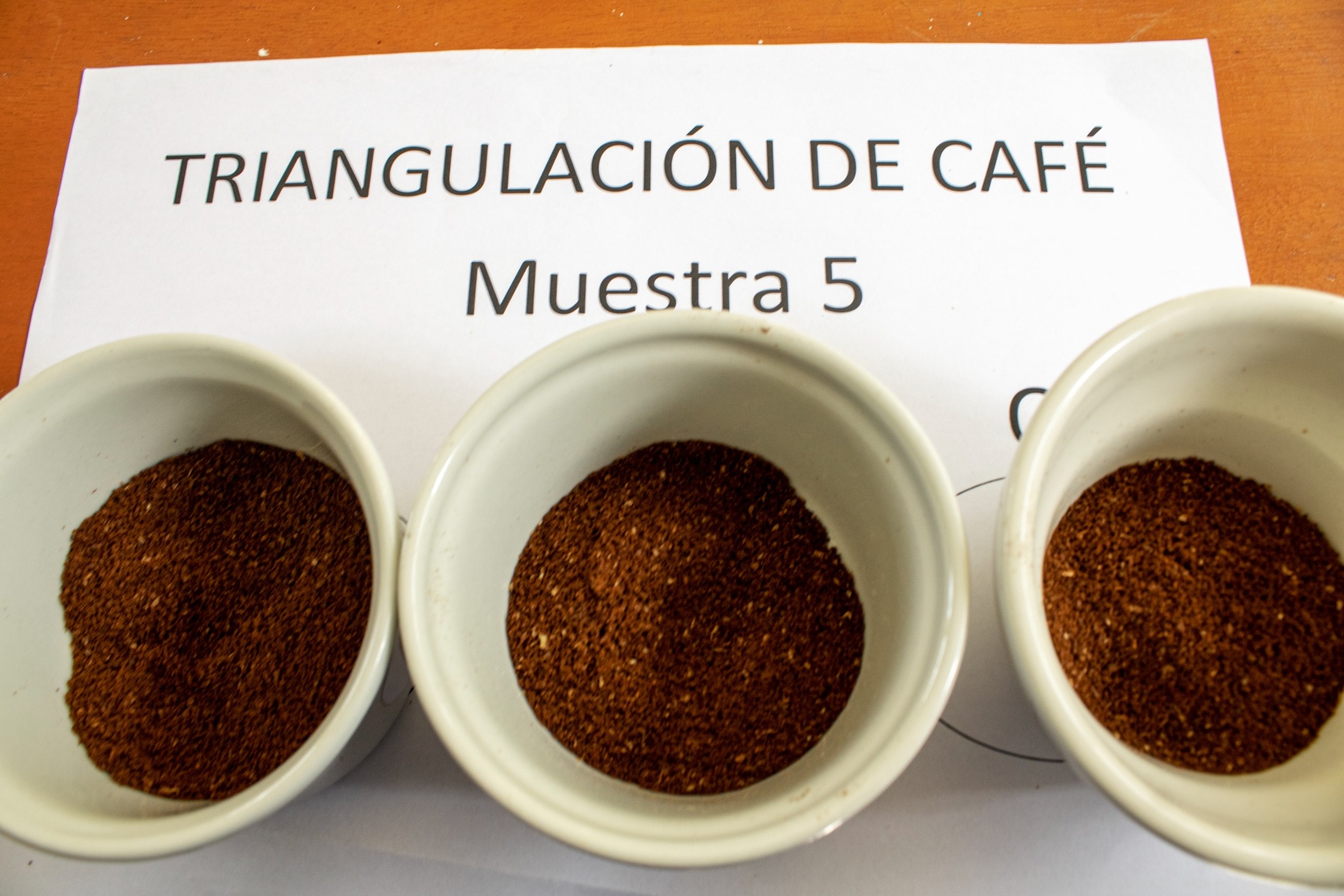 Cafetaleros se fortalecen con formación técnica en cata de cafés especiales Ucayali Devida Perú