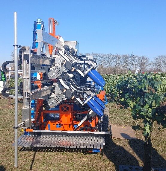 Robot cosechador de uvas diseñado para la producción de vinos de calidad. Fuente: El autor, 2025.