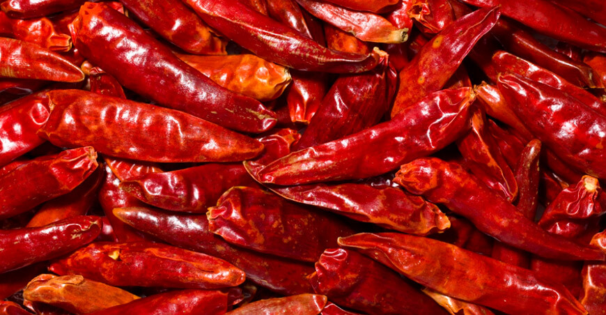 ají colorado Capsicum