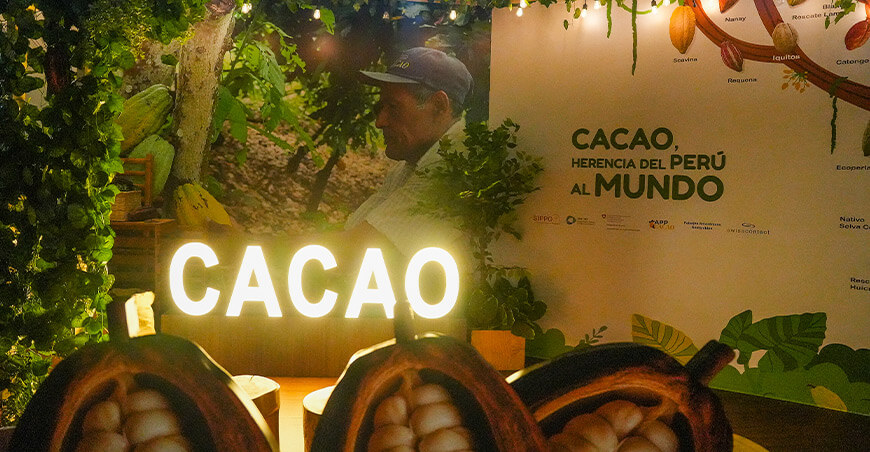 cacao peruano