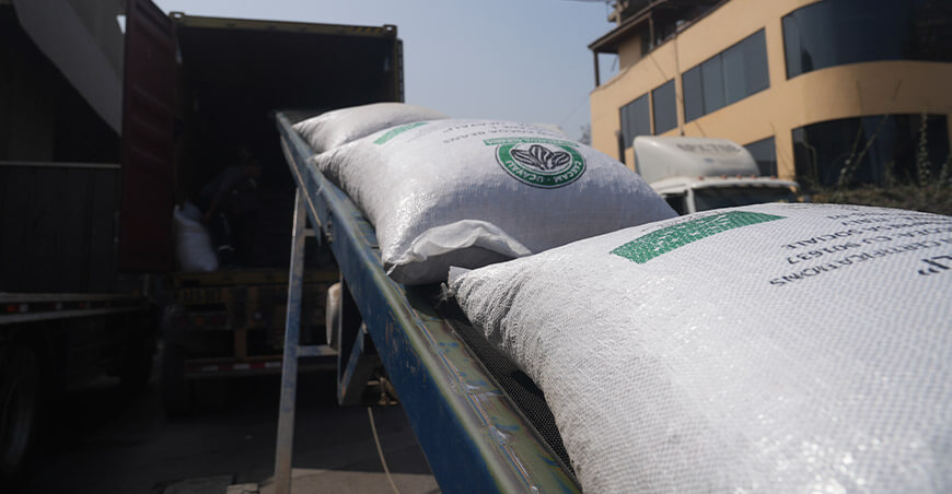 Cooperativa Agraria Ecológica Caniari Amazónica (Caecam) de Ucayali Perú exporta cacao en grano a Europa 