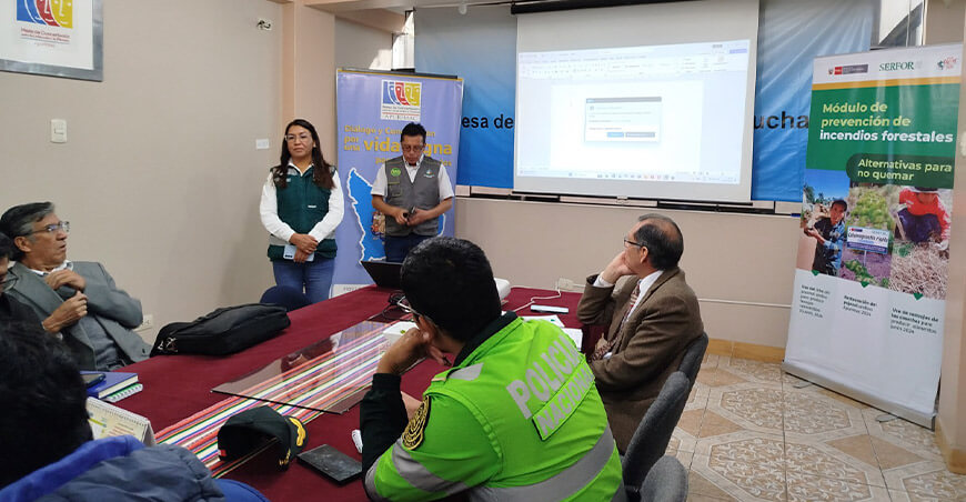 Establecerán comités de vigilancia y control comunitarios para prevenir los incendios forestales Apurímac Perú