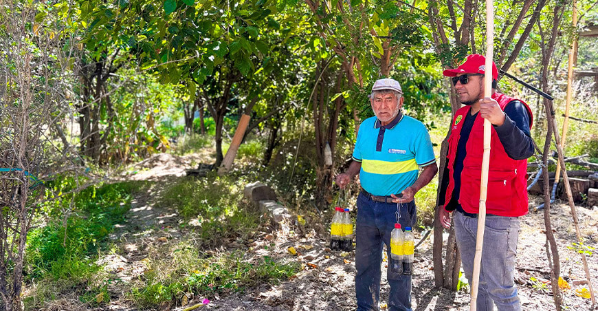 Refuerzan control de la mosca de la fruta en 65 comunidades de Huamanga Ayacucho Perú