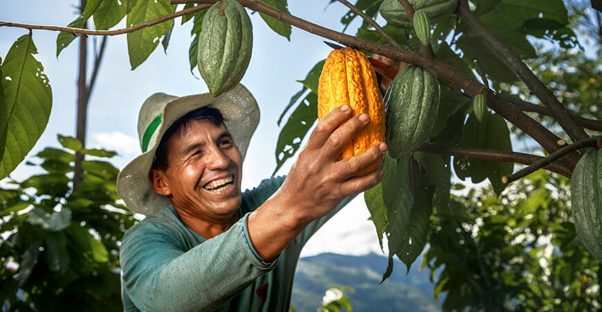 Devida promueve cultivo de cacao Vraem Perú