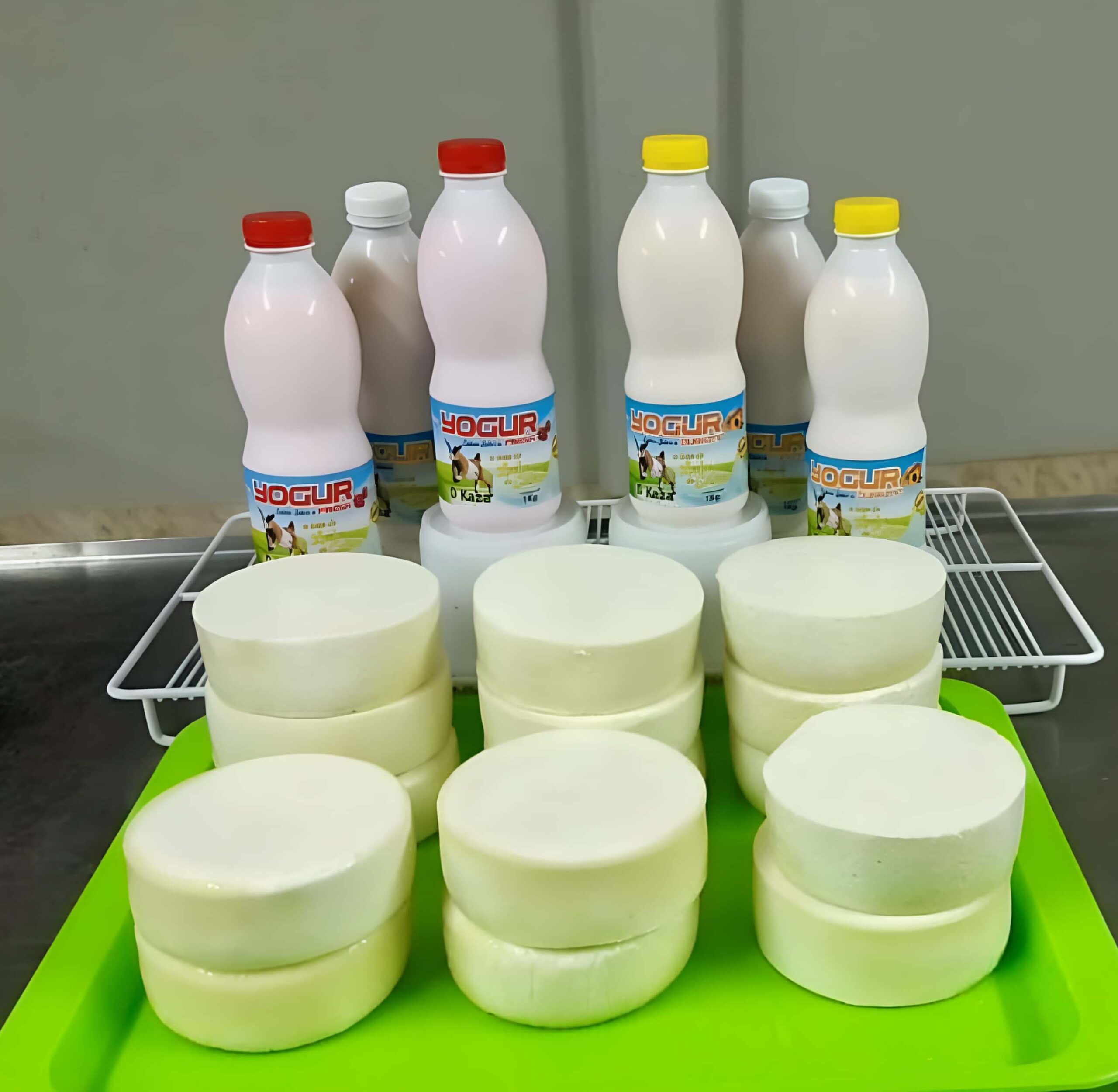 Con valor agregado: La granja La Cabrita Lechera elabora productos derivados como yogurt, queso fresco pasteurizado y manjar blanco, a partir de la leche de cabra para un público cada vez más consciente de su valor nutricional.