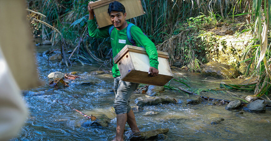Devida fortalece apicultura apícola apicultores Junín núcleo abejas