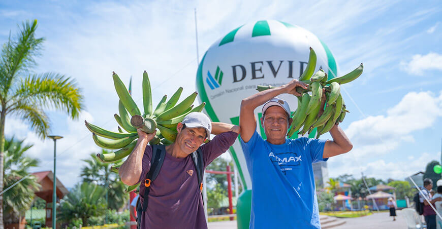 Devida lanzó proyecto plátano para productores Codo del Pozuzo Huánuco Perú