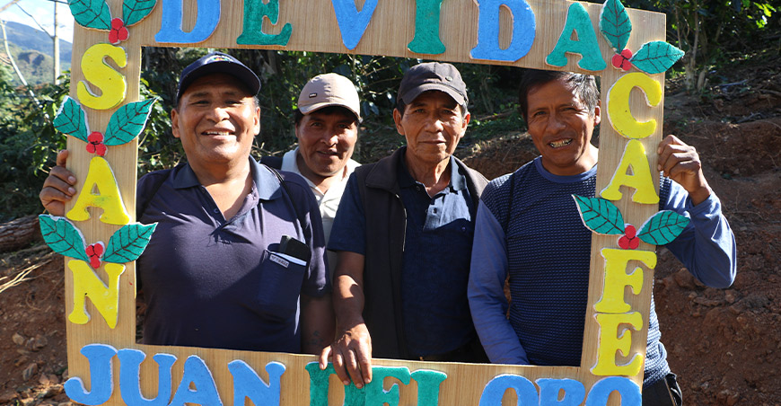 Cafetaleros puneños fortalecieron sus capacidades productivas Escuelas de Campo Devida Perú
