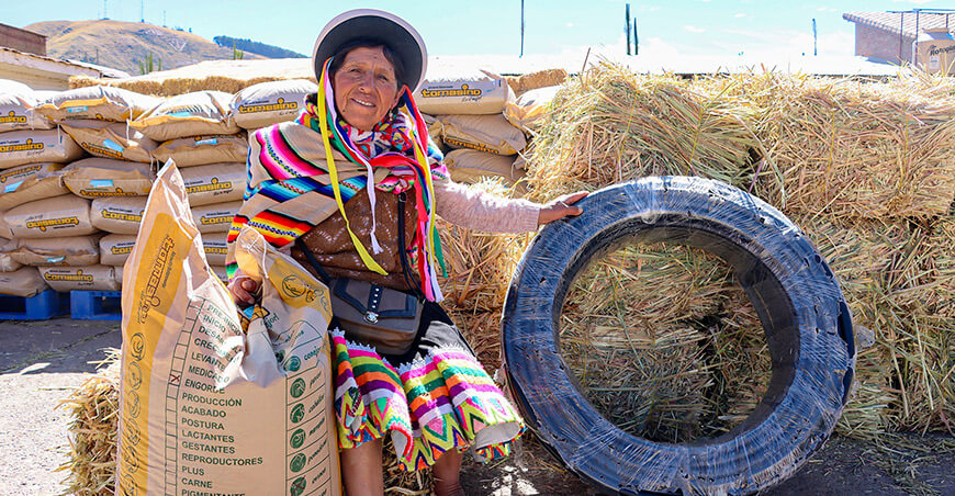entregaron alimento para ganado productores Canchis Cusco