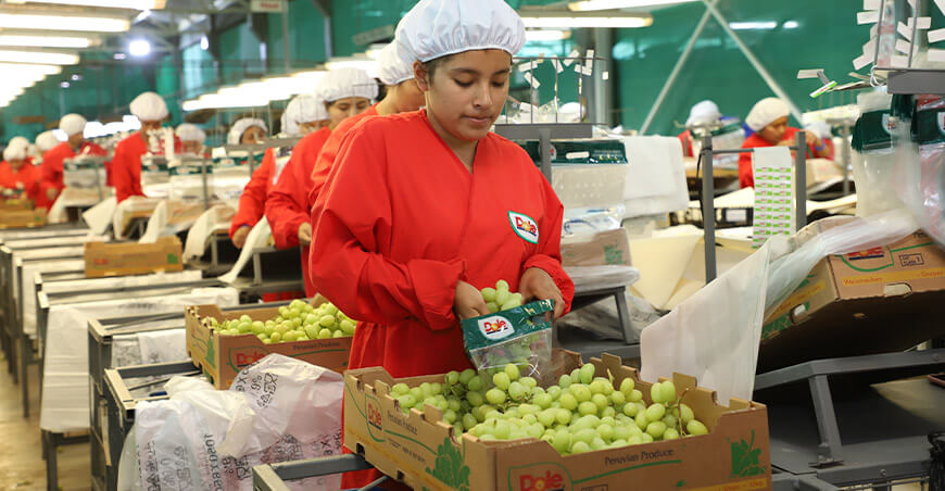 Perú exportación de uvas peruanas