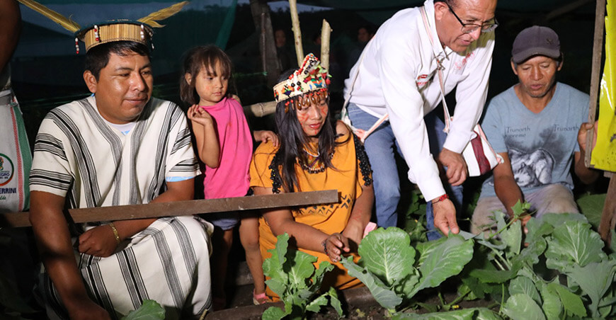 familias asháninkas de Satipo desarrollan capacidades productivas y emprendimientos producción hortalizas Junín Perú
