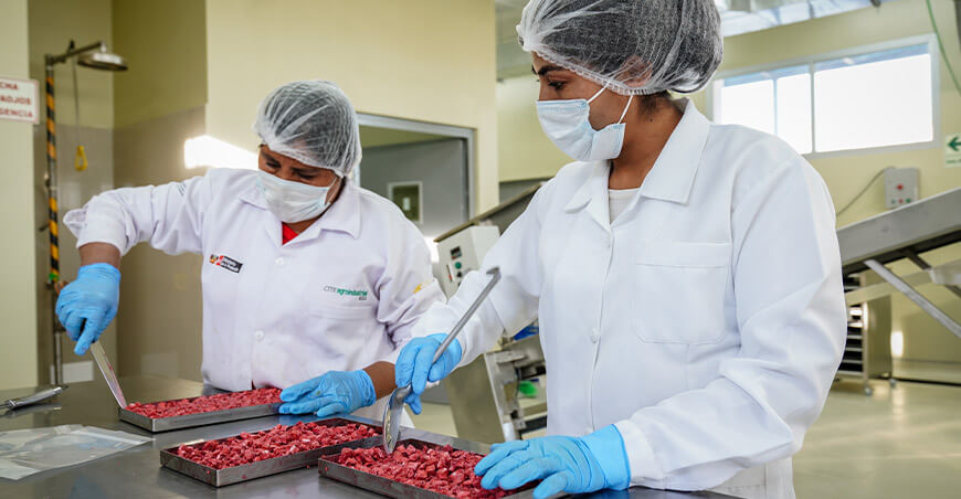 Impulsan transformación de la pitahaya en un innovador fermentado ITP Perú