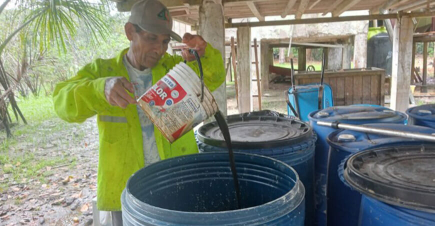 Uso de biol incrementará producción de camu camu a 9 t/ha en Loreto y Ucayali IIAP Perú