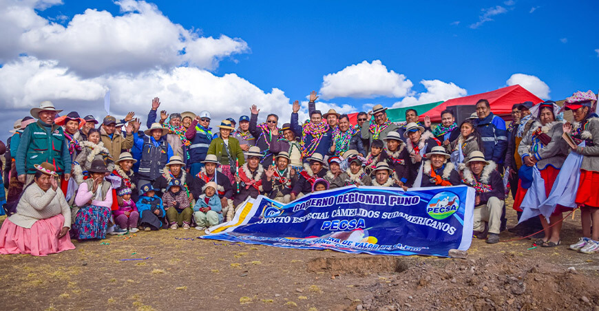 Inician construcción del Centro de Producción de Reproductores de Alpaca en Ticani Puno