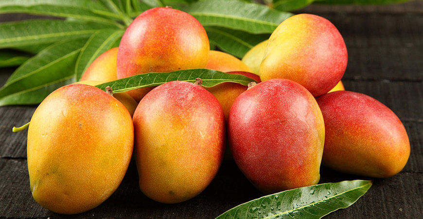 Perú exportación de mango peruano