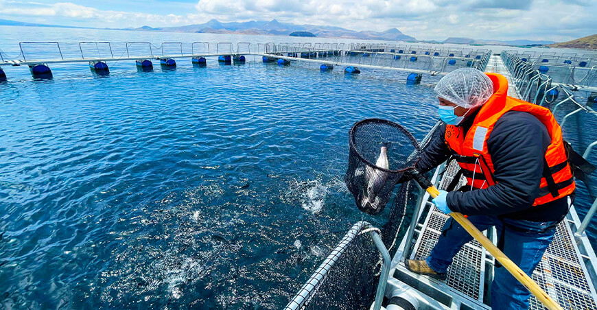 Más de mil operadores de pesca y acuicultura se formalizaron sanitariamente Sanipes Perú