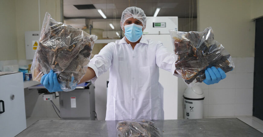 Transforman piel de paiche en snacks y aceites saludables en San Martín