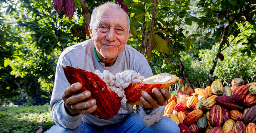 productor de cacao