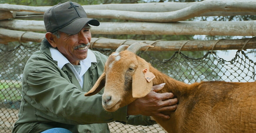 productor ganado caprino Perú