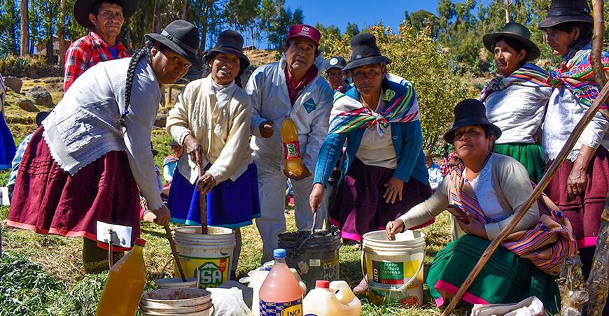 Impulsan producción orgánica de cultivos en comunidad de Huascar Cusco Perú