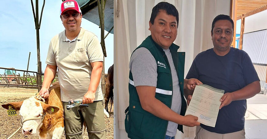 Se publican las primeras pruebas genómicas de la raza Fleckvieh en Perú
