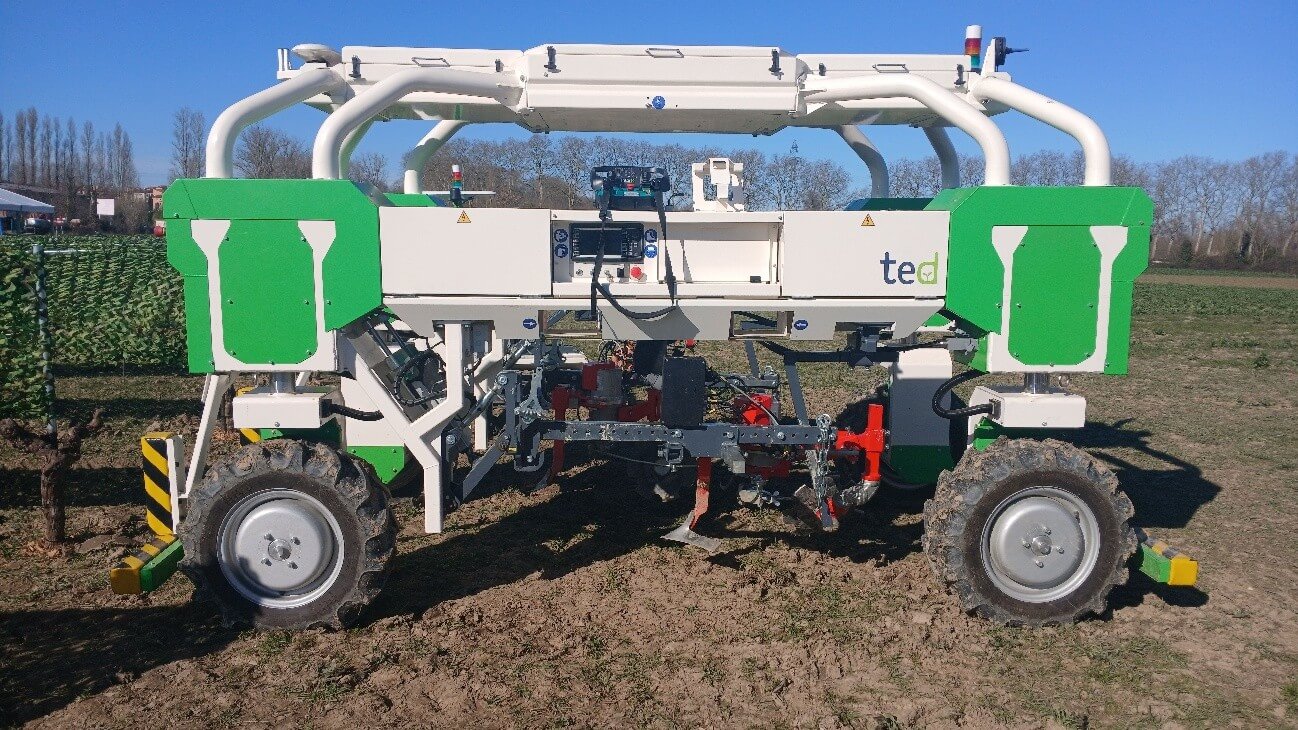El robot Ted está diseñado para el mantenimiento de cultivo en viñedos. Fuente: El autor, 2025.