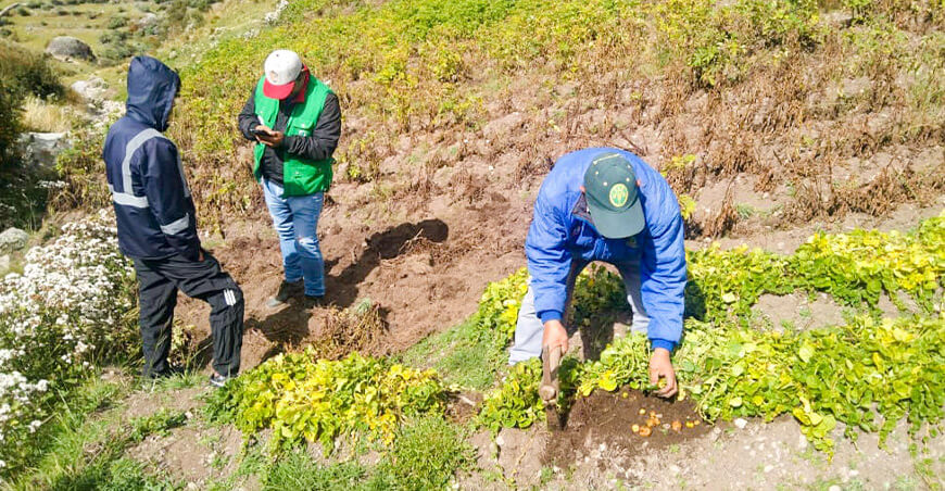 Seguro Agrícola Catastrófico productores de Ayacucho Midagri Perú