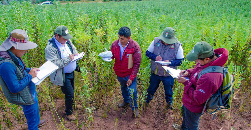 Seguro Agrícola Catastrófico Cusco