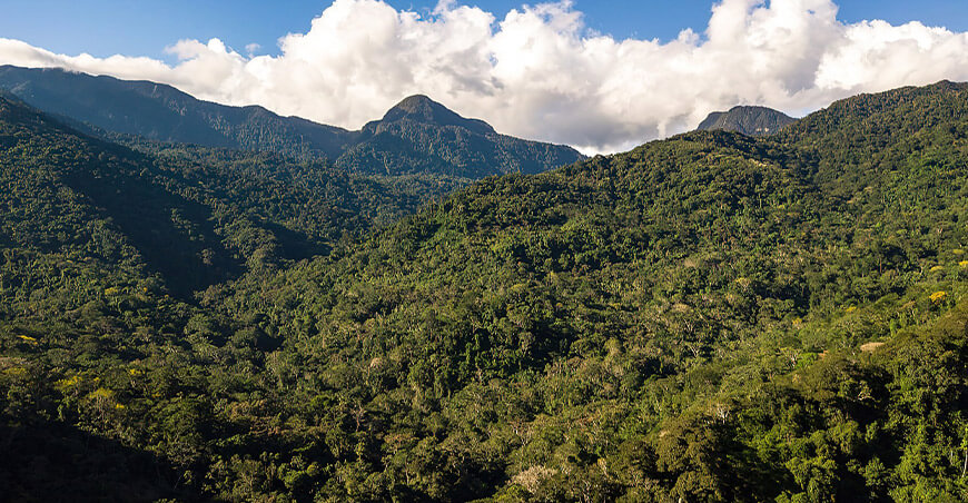 Srfor bosques San Martín Perú